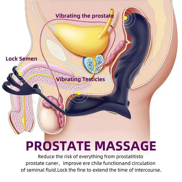 Remote Control Vibrating Prostate Massager Xinghaoya Male Sex Toys