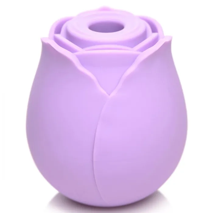 Vibrators Purple Toy Target Wild Rose Sex Toy 10X Suction Clit Stimulator Bloomgasm